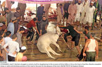 Filename=Pic23-083~13.jpg
Filesize=363KiB
Dimensions=2047x1353
Date added=Jul 23, 2021 Pic23-083~13.jpg