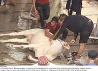 Filename=Pic23-084~12.jpg
Filesize=296KiB
Dimensions=2047x1478
Date added=Jul 23, 2021 Pic23-084~12.jpg