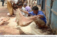 Filename=Pic23-087~7.jpg
Filesize=453KiB
Dimensions=2047x1350
Date added=Jul 23, 2021 Pic23-087~7.jpg
