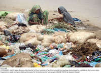 Filename=Pic23-088~7.jpg
Filesize=474KiB
Dimensions=2047x1478
Date added=Jul 23, 2021 Pic23-088~7.jpg