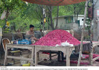 Filename=Pic23-092~4.jpg
Filesize=580KiB
Dimensions=2047x1442
Date added=Jul 23, 2021 Pic23-092~4.jpg