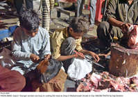 Filename=Pic23-094~4.jpg
Filesize=472KiB
Dimensions=2047x1442
Date added=Jul 23, 2021 Pic23-094~4.jpg