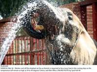 Filename=Pic26-049.jpg
Filesize=200KiB
Dimensions=1000x738
Date added=Mar 26, 2018 Pic26-049.jpg