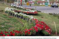 Filename=Pic26-066.jpg
Filesize=202KiB
Dimensions=1000x667
Date added=Mar 26, 2018 Pic26-066.jpg