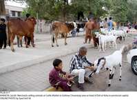 Filename=Pic26-077~10.jpg
Filesize=352KiB
Dimensions=2047x1491
Date added=Jun 26, 2020 Pic26-077~10.jpg