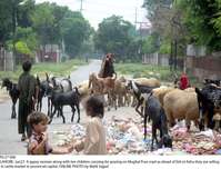 Filename=Pic27-006~26.jpg
Filesize=383KiB
Dimensions=2047x1565
Date added=Jun 27, 2020 Pic27-006~26.jpg