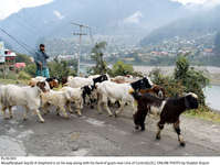 Filename=Pic30-003~25.jpg
Filesize=382KiB
Dimensions=2047x1545
Date added=Sep 30, 2020 Pic30-003~25.jpg