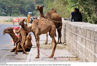 Filename=Pic30-030~26.jpg
Filesize=450KiB
Dimensions=2047x1412
Date added=Sep 30, 2020 Pic30-030~26.jpg