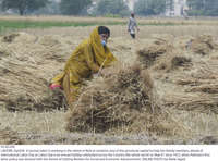 Filename=Pic30-050~27.jpg
Filesize=456KiB
Dimensions=2047x1518
Date added=Apr 30, 2021 Pic30-050~27.jpg