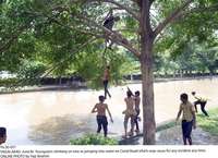 Filename=Pic30-057~20.jpg
Filesize=533KiB
Dimensions=2048x1487
Date added=Jun 30, 2020 Pic30-057~20.jpg