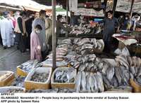 Filename=app01-01islamabad~2.jpg
Filesize=206KiB
Dimensions=1200x884
Date added=Nov 01, 2020 app01-01islamabad~2.jpg