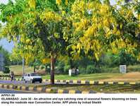 Filename=app01-30islamabad.jpg
Filesize=378KiB
Dimensions=1200x903
Date added=Jun 30, 2020 app01-30islamabad.jpg