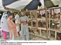 Filename=app02-16faisalabad.jpg
Filesize=295KiB
Dimensions=1200x893
Date added=Aug 16, 2020 app02-16faisalabad.jpg