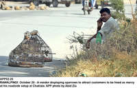 Filename=app02-20rawalpindi.jpg
Filesize=379KiB
Dimensions=1200x768
Date added=Oct 20, 2020 app02-20rawalpindi.jpg