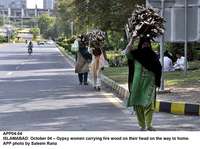Filename=app04-04islamabad~0.jpg
Filesize=253KiB
Dimensions=1200x894
Date added=Oct 04, 2020 app04-04islamabad~0.jpg