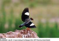 Filename=app04-09islamabad.jpg
Filesize=105KiB
Dimensions=1200x829
Date added=Jul 09, 2020 app04-09islamabad.jpg
