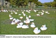 Filename=app06-07lahore.jpg
Filesize=266KiB
Dimensions=1200x813
Date added=Oct 07, 2020 app06-07lahore.jpg