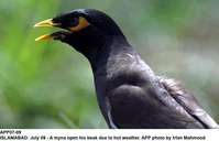 Filename=app07-09islamabad.jpg
Filesize=160KiB
Dimensions=1200x773
Date added=Jul 09, 2020 app07-09islamabad.jpg