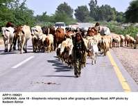 Filename=app11-190621larkana.jpg
Filesize=228KiB
Dimensions=1200x921
Date added=Jun 19, 2021 app11-190621larkana.jpg