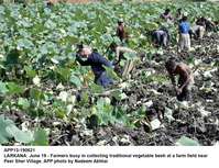 Filename=app13-190621larkana.jpg
Filesize=341KiB
Dimensions=1200x921
Date added=Jun 19, 2021 app13-190621larkana.jpg