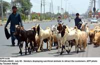 Filename=app14-09faisalabad.jpg
Filesize=193KiB
Dimensions=1200x780
Date added=Jul 09, 2020 app14-09faisalabad.jpg