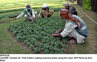 Filename=app16-20lahore.jpg
Filesize=465KiB
Dimensions=1200x760
Date added=Oct 20, 2020 app16-20lahore.jpg