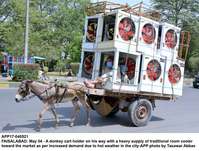 Filename=app17-040521faisalabad.jpg
Filesize=301KiB
Dimensions=1200x909
Date added=May 04, 2021 app17-040521faisalabad.jpg