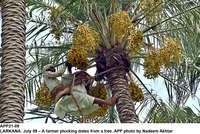 Filename=app21-09larkana.jpg
Filesize=469KiB
Dimensions=1200x804
Date added=Jul 09, 2020 app21-09larkana.jpg