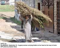 Filename=app21-24islamabad.jpg
Filesize=346KiB
Dimensions=1200x952
Date added=Sep 24, 2020 app21-24islamabad.jpg