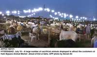 Filename=app22-180721hyderabad.jpg
Filesize=142KiB
Dimensions=1200x703
Date added=Jul 18, 2021 app22-180721hyderabad.jpg