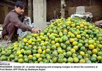 Filename=app22-20peshawar~0.jpg
Filesize=232KiB
Dimensions=1200x840
Date added=Oct 20, 2020 app22-20peshawar~0.jpg