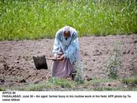 Filename=app22-30faisalabad.jpg
Filesize=265KiB
Dimensions=1200x905
Date added=Jun 30, 2020 app22-30faisalabad.jpg