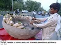 Filename=app23-20lahore.jpg
Filesize=209KiB
Dimensions=1200x893
Date added=Sep 20, 2020 app23-20lahore.jpg