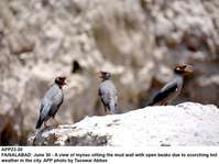Filename=app23-30faisalabad.jpg
Filesize=128KiB
Dimensions=1200x898
Date added=Jun 30, 2020 app23-30faisalabad.jpg