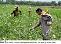 Filename=app24-02faisalabad.jpg
Filesize=297KiB
Dimensions=1200x872
Date added=Jul 02, 2020 app24-02faisalabad.jpg