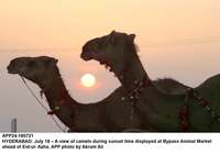 Filename=app24-180721hyderabad.jpg
Filesize=84KiB
Dimensions=1200x841
Date added=Jul 18, 2021 app24-180721hyderabad.jpg