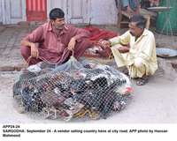 Filename=app24-24sargodha.jpg
Filesize=267KiB
Dimensions=1200x960
Date added=Sep 24, 2020 app24-24sargodha.jpg
