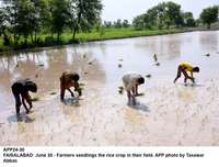 Filename=app24-30faisalabad.jpg
Filesize=250KiB
Dimensions=1200x913
Date added=Jun 30, 2020 app24-30faisalabad.jpg
