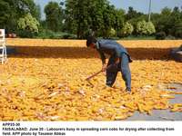 Filename=app25-30faisalabad.jpg
Filesize=323KiB
Dimensions=1200x900
Date added=Jun 30, 2020 app25-30faisalabad.jpg