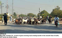 Filename=app26-20multan.jpg
Filesize=289KiB
Dimensions=1200x749
Date added=Oct 20, 2020 app26-20multan.jpg