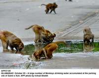 Filename=app27-05islamabad.jpg
Filesize=158KiB
Dimensions=1200x948
Date added=Oct 05, 2020 app27-05islamabad.jpg