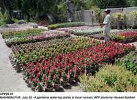 Filename=app28-02bahawalpur.jpg
Filesize=348KiB
Dimensions=1200x873
Date added=Jul 02, 2020 app28-02bahawalpur.jpg