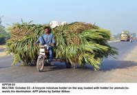 Filename=app28-03multan.jpg
Filesize=351KiB
Dimensions=1200x833
Date added=Oct 03, 2020 app28-03multan.jpg