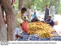 Filename=app29-040521multan.jpg
Filesize=263KiB
Dimensions=1200x900
Date added=May 04, 2021 app29-040521multan.jpg