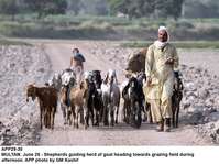 Filename=app29-30multan.jpg
Filesize=176KiB
Dimensions=1200x898
Date added=Jun 30, 2020 app29-30multan.jpg