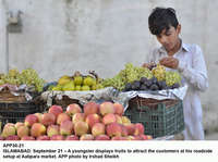 Filename=app30-21islamabad.jpg
Filesize=167KiB
Dimensions=1200x894
Date added=Sep 21, 2020 app30-21islamabad.jpg