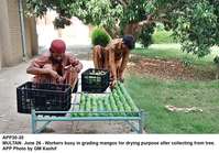 Filename=app30-30multan.jpg
Filesize=248KiB
Dimensions=1200x838
Date added=Jun 30, 2020 app30-30multan.jpg