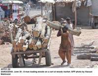 Filename=app31-30sargodha.jpg
Filesize=205KiB
Dimensions=1200x927
Date added=Jun 30, 2020 app31-30sargodha.jpg
