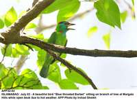 Filename=app32-02islamabad.jpg
Filesize=136KiB
Dimensions=1200x882
Date added=Jul 02, 2020 app32-02islamabad.jpg