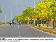 Filename=app33-02islamabad.jpg
Filesize=192KiB
Dimensions=1200x887
Date added=Jul 02, 2020 app33-02islamabad.jpg